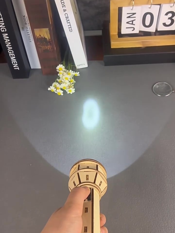 Wooden DIY Flashlight Puzzle K - đánh giá và giá Science Project Physics