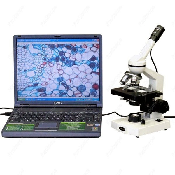 AmScope M600 Series Student Mo - đánh giá và giá Microscope Compound 40X