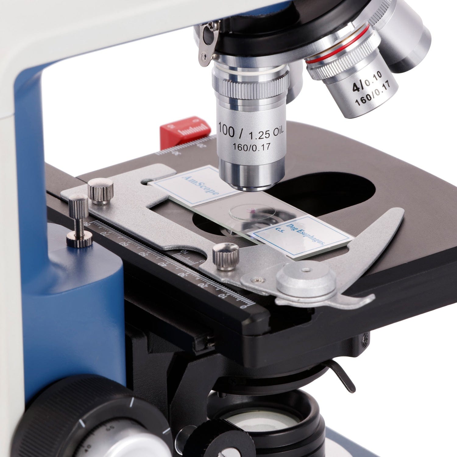 AmScope  40X-2500X Magnificati - đánh giá và giá Microscope Compound 40X