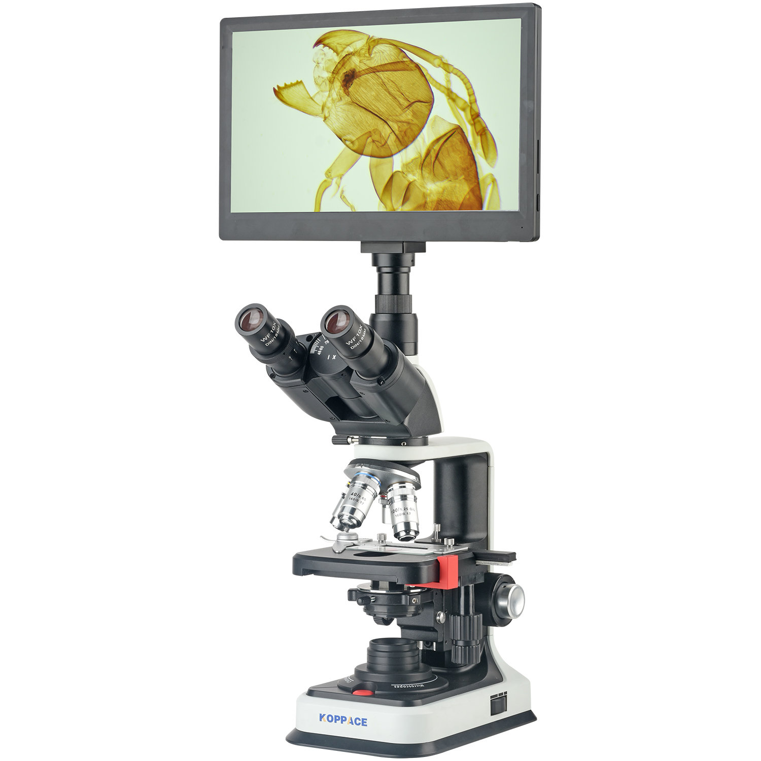 KOPPACE 40X-2500X Electron Com - đánh giá và giá Microscope Compound 40X