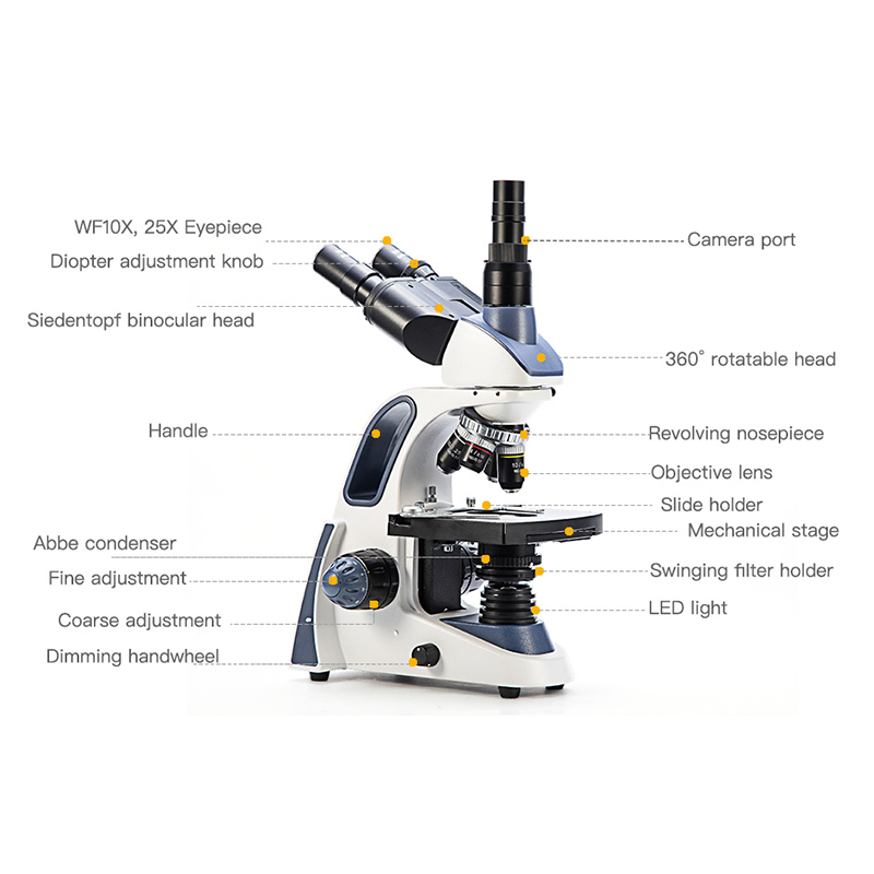 SWIFT SW380T Compound Trinocul - đánh giá và giá Microscope Compound 40X