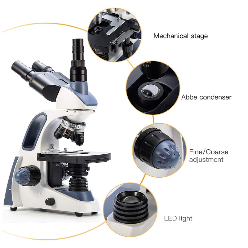 SWIFT SW380T Compound Trinocul - đánh giá và giá Microscope Compound 40X