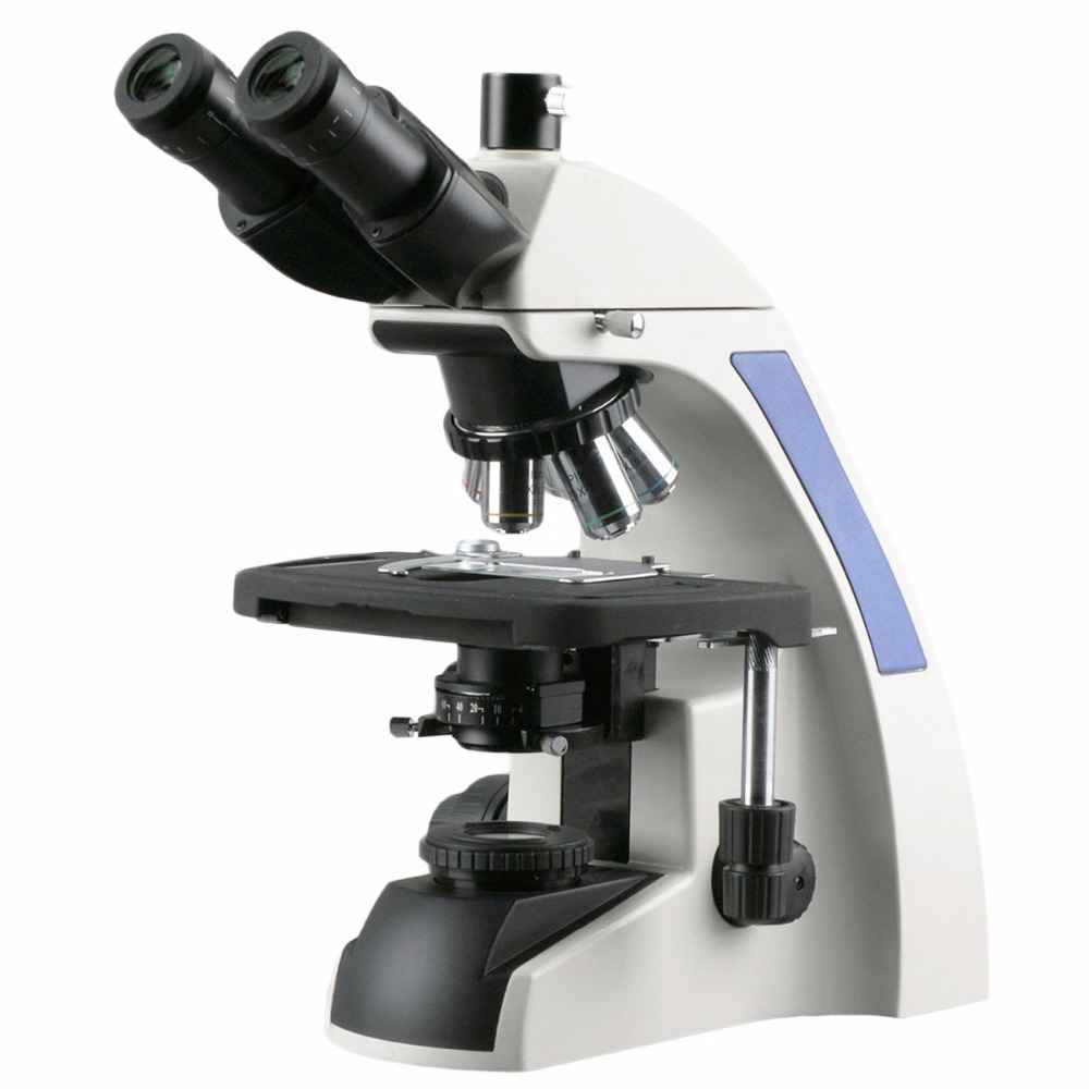 AmScope T720 Series Infinity-C - đánh giá và giá Microscope Compound 40X
