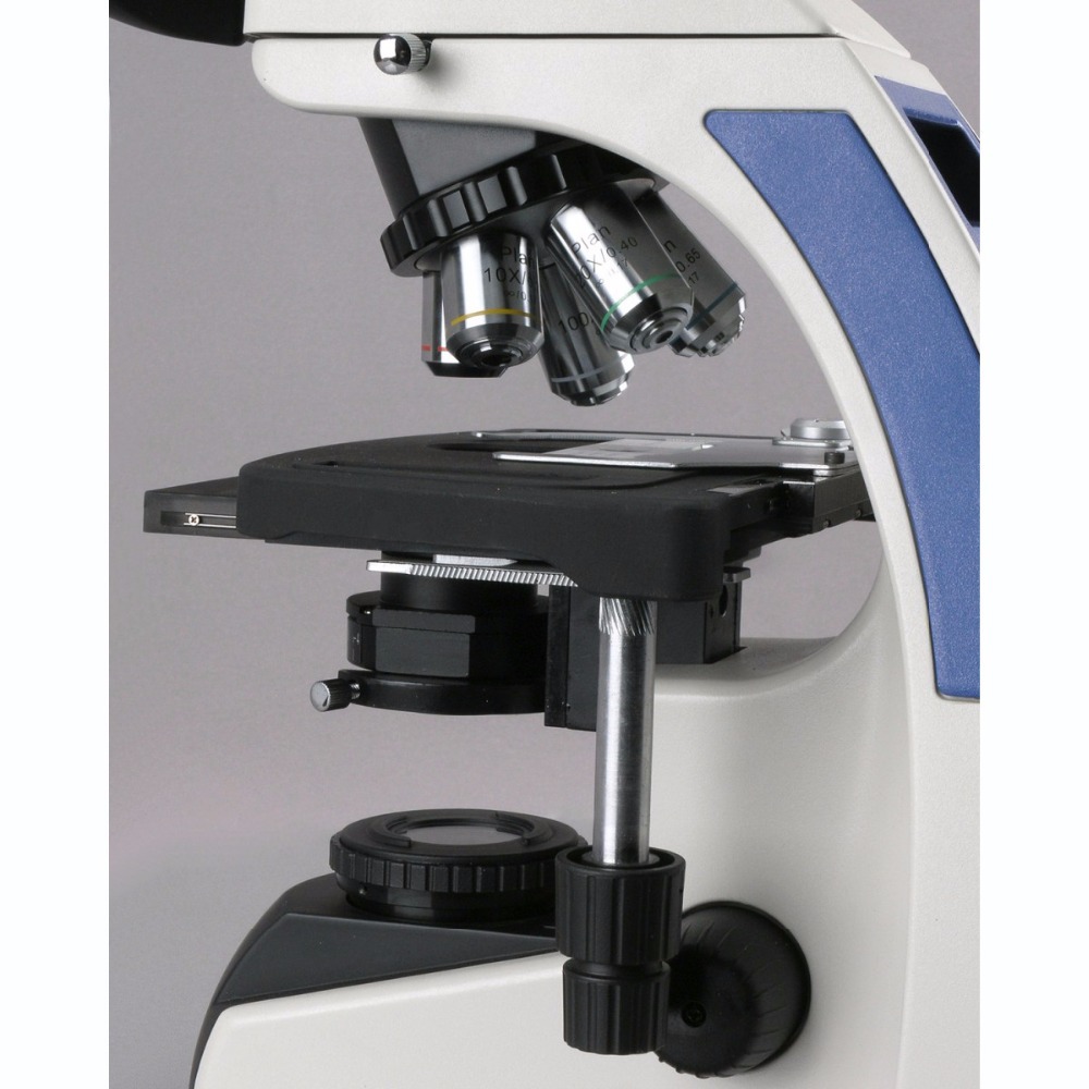 AmScope T720 Series Infinity-C - đánh giá và giá Microscope Compound 40X