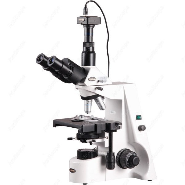 AmScope 40X-2500X Infinity Koh - đánh giá và giá Microscope Compound 40X