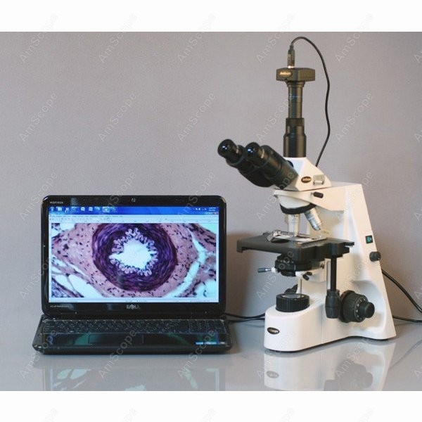 AmScope 40X-2500X Infinity Koh - đánh giá và giá Microscope Compound 40X
