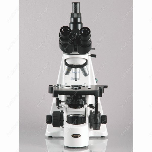 AmScope 40X-2500X Infinity Koh - đánh giá và giá Microscope Compound 40X