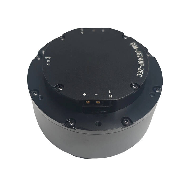 DAMIAO DM-J6248P-2EC Industria - đánh giá và giá Robot Arm Motor