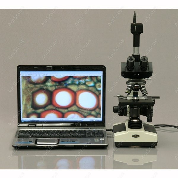 AmScope T390 Series Biological - đánh giá và giá Microscope Compound 40X