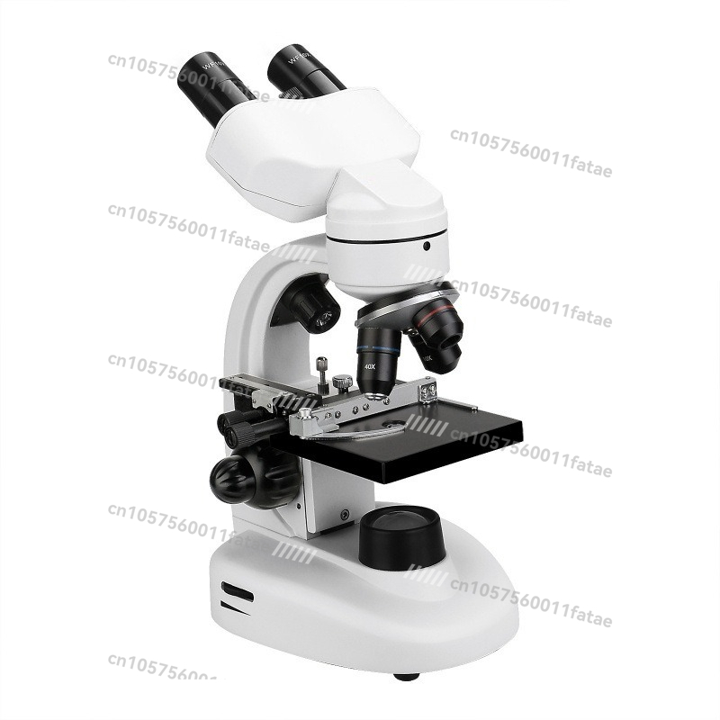SV605 White + Black Compound B - đánh giá và giá Microscope Compound 40X