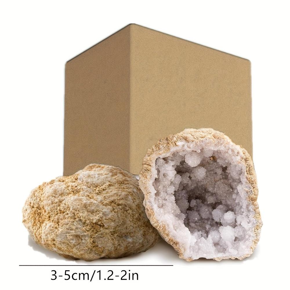 5pcs (1.2-2